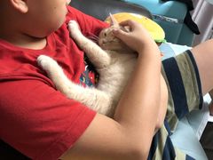 -屋虎猫馆(宝安大仟里店)