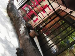 -T館·花园艺术餐厅