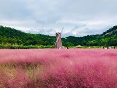 -蛇蟠岛