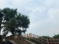 -中国茶叶博物馆(双峰馆区)