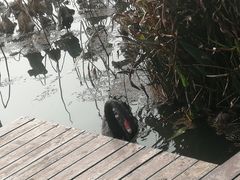 -昆山城市生态森林公园