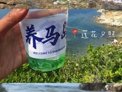 -养马岛旅游度假区