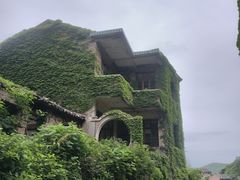 -枸杞岛