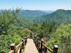 -大岭沟猕猴桃谷风景区