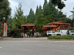 -青城甲(青城山店)