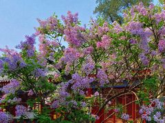 -西安市广仁寺