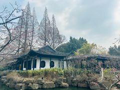 -红梅公园