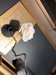 -FineYoga梵音瑜伽·普拉提