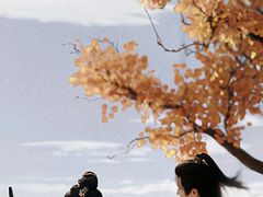 -吴草鸡爪오초닭발韩食堂(融恒盈嘉中心店)