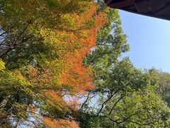 -十八棵（老龙井）御茶园(老龙井店)