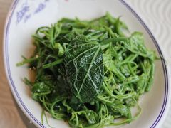 -樽宴酒楼·地道川菜·品质宴请