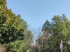 -敬亭山风景名胜区