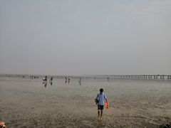 -南汇嘴观海公园