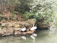 -兰亭风景区