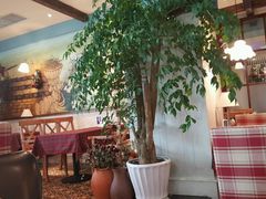 -芭莉与彩虹西餐厅(成都合生汇店)