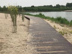-东郊湿地公园