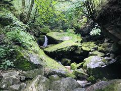 -陕西省红河谷森林公园