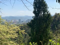 -天台山赤城山景区