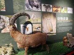 -特克斯八卦城