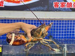 -明记海鲜大排档(巽寮湾店)