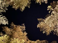 -江南天池高山汤泉城
