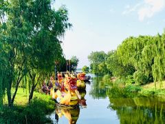 -溱湖国家湿地公园