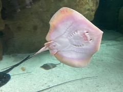 -珠海长隆海洋王国