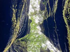 -梭布垭石林景区