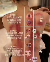 -丽减美瘦吧·减肥瘦身