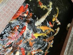-侠成水上农庄(工业大道店)