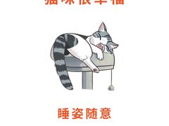 -lincat·猫舍(广州店)