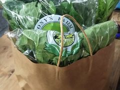 -上海多利农业发展有限公司