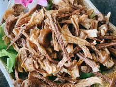 -新草堂锅物料理(泉城路店)