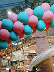 -卡通尼·Safari非洲探索乐园·生日会(金桥国际商业广场店)