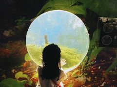 -江和美海洋公园