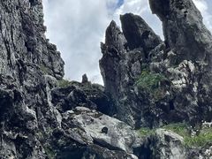 -大九湖