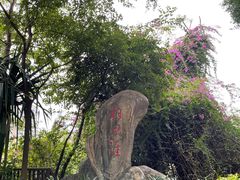 -仙岳公园
