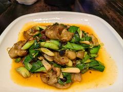 -陈麻婆豆腐(旗舰店)