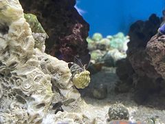 -上海海昌海洋公园