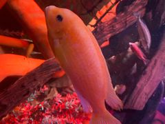 -沈阳海洋探索中心