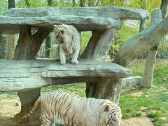 -北京野生动物园