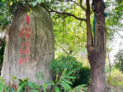-丹樱生态园