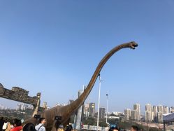 -恐龙探索乐园(磁器口店)