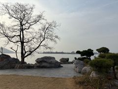 -东湖落雁景区