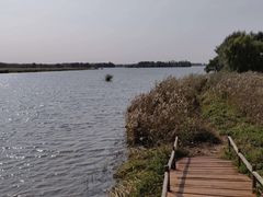 -白渔泡湿地公园