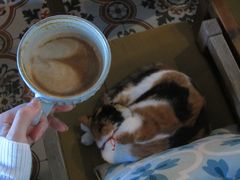 -BUND·FIVE外滩5号(天际店)