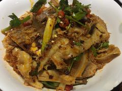 麻辣肺片-掌上鲜(南顺城街店)