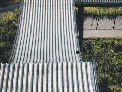 -武陵山森林公园