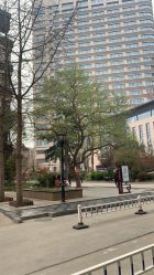 -河南中医药大学第一附属医院-医疗整形