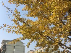 -南京航空航天大学苏州附属中学(唯亭校区)